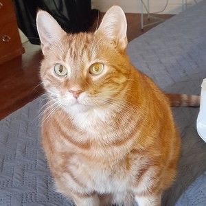 Meet your Posher, Sarita